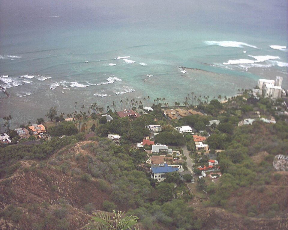 Photograph