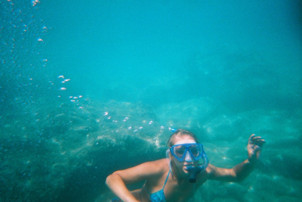 Photograph