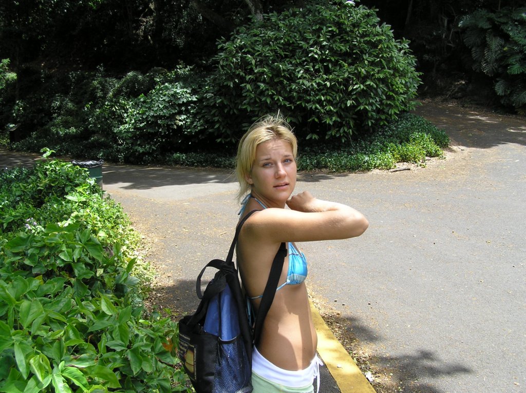 Photograph
