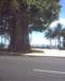 Photo Number 9