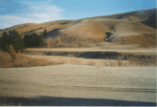 landscape, South Island