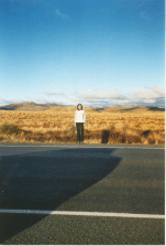 road from PN to Rotorua