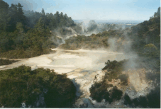 Wai-o-tapu, Rotorua